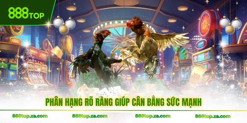 Phân hạng rõ ràng giúp cân bằng sức mạnh